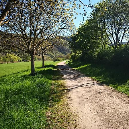 Ferienhaus Malefi 1 Am Guelser Moselbogen Koblencja Zewnętrze zdjęcie